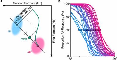 Production Variability and Categorical Perception of Vowels Are Strongly Linked